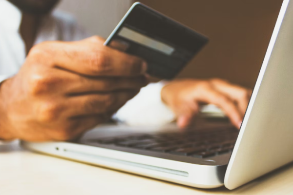 THE ONLINE PAYMENT SYSTEMS